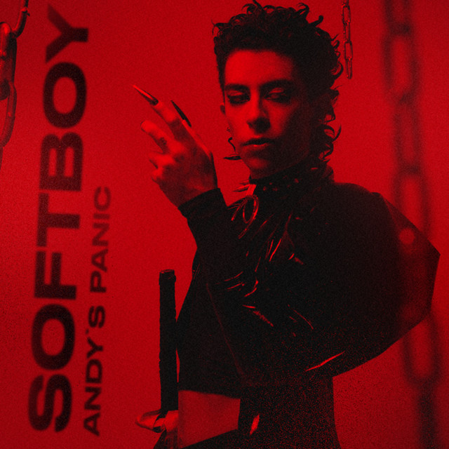 Softboy cover art