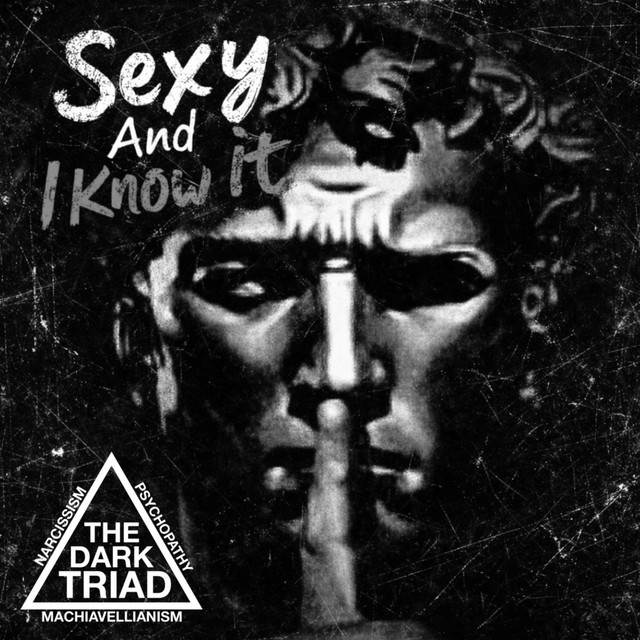 Sexy And I Know It cover art