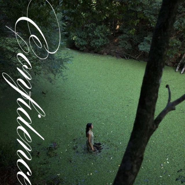 confidence cover art