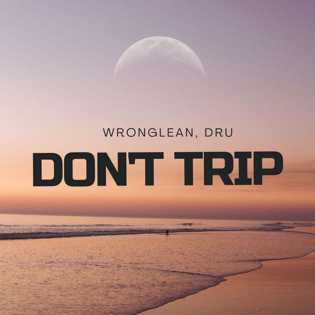 Don't Trip cover art