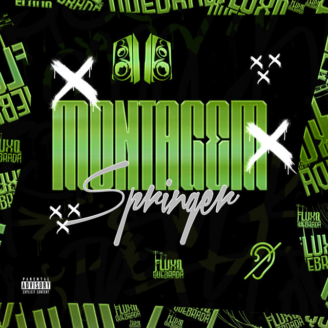Montagem Springer