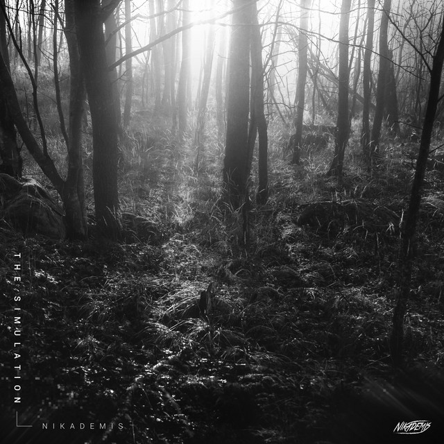 The Simulation cover art