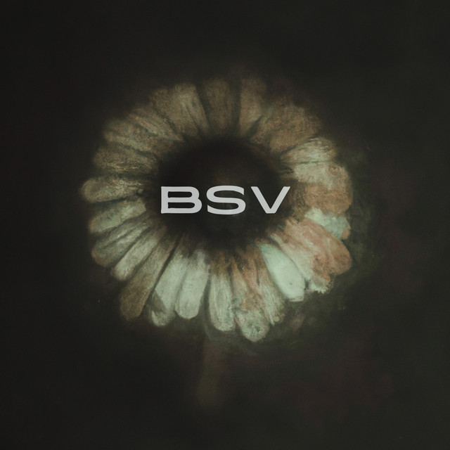 BSV cover art