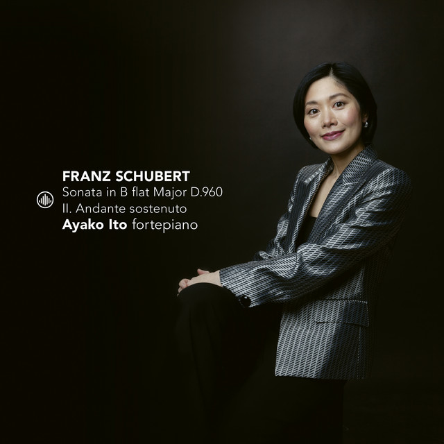Sonata in B flat Major D.960 - II. Andante sostenuto