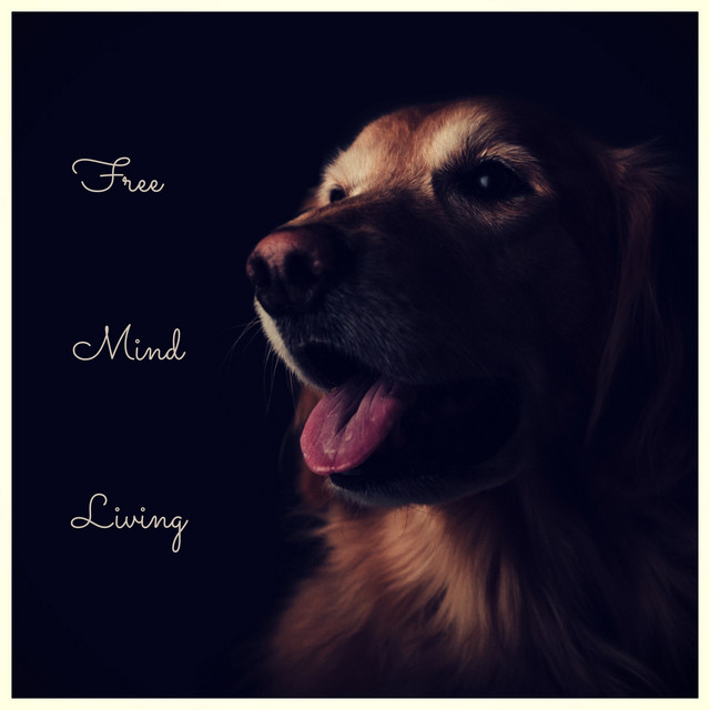 Free Mind Living cover art