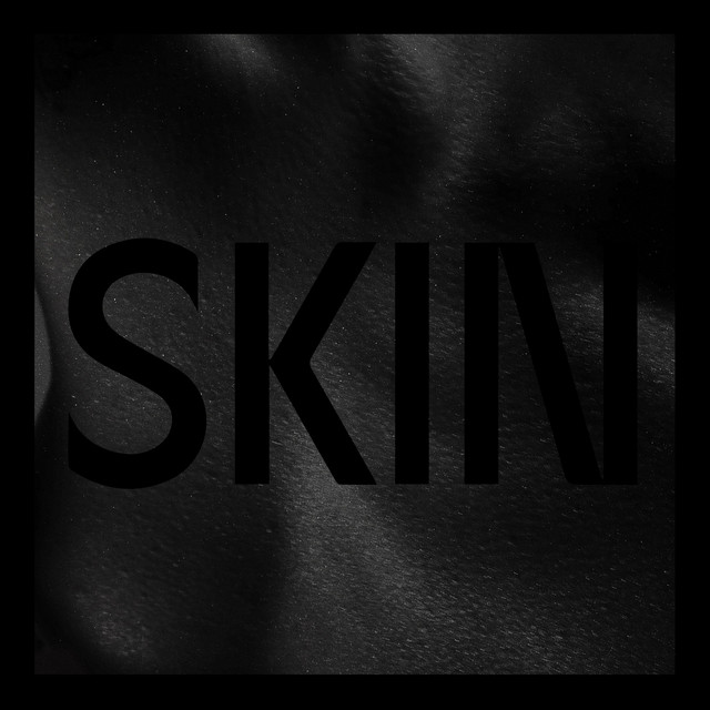 Skin cover art