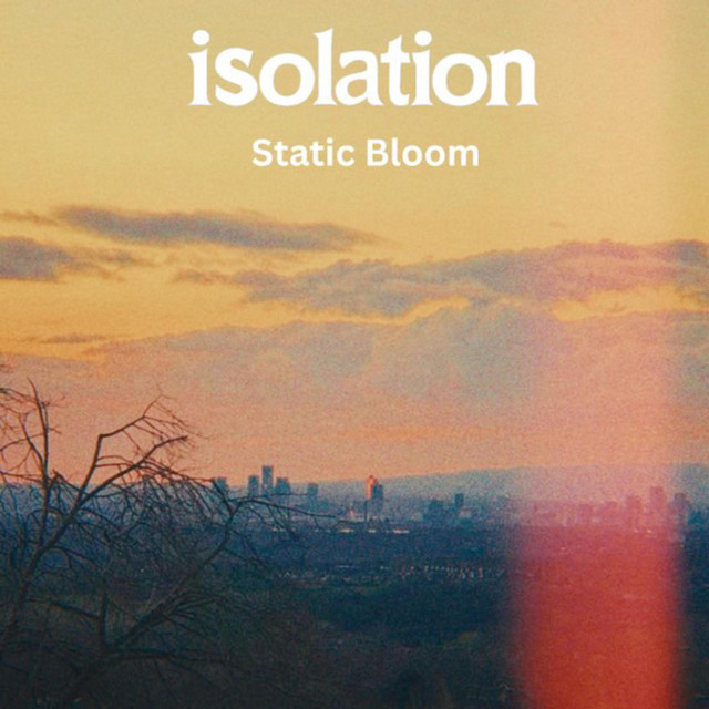 Static Bloom cover art