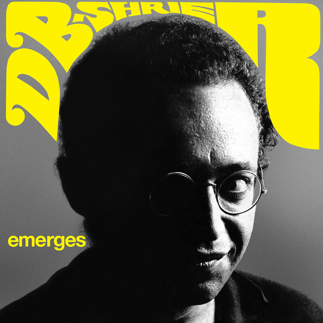 D.B. Shrier Emerges cover