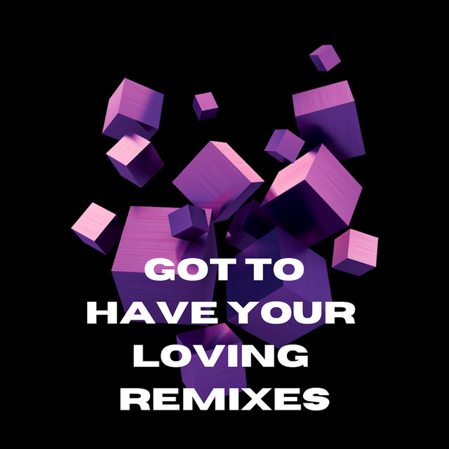 Got To Have Your Loving Remixes cover art