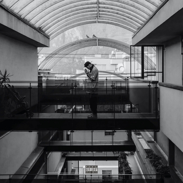SOLO cover art