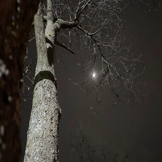 Lonely Winter Nights cover art