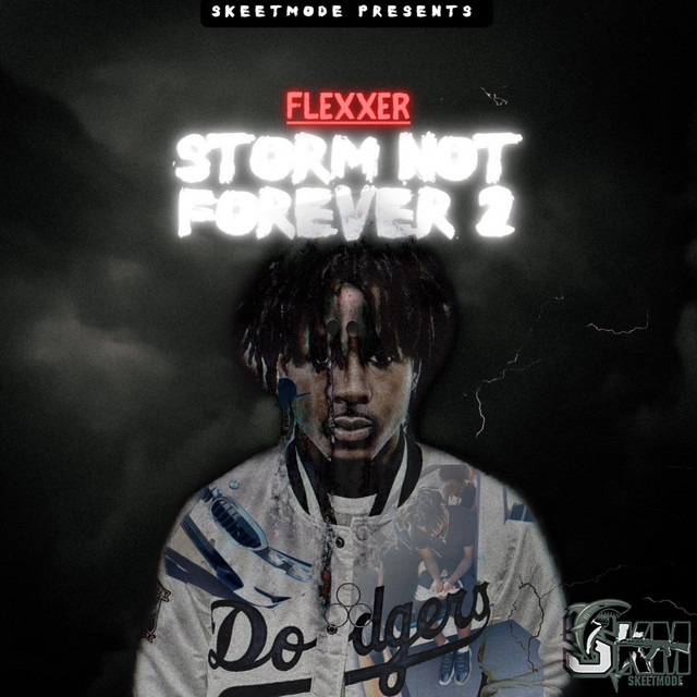 THE STORM NOT FOREVER 2 cover art
