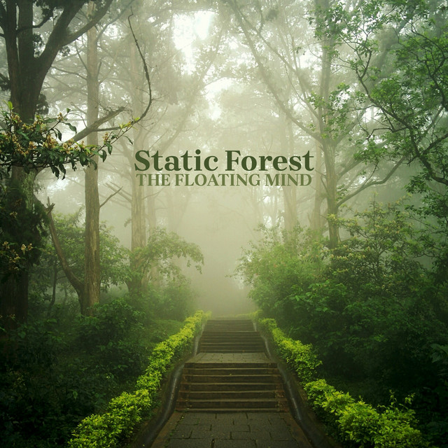 Static Forest by The Floating Mind