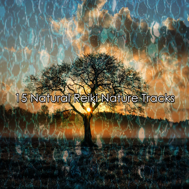15 Natural Reiki Nature Tracks - Album by Sounds of Nature Relaxation ...