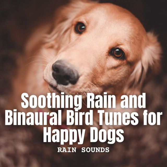 Rain Sounds: Soothing Rain and Binaural Bird Tunes for Happy Dogs cover art