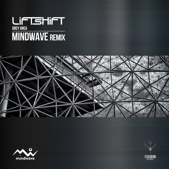 Grey Area - Mindwave Remix album art