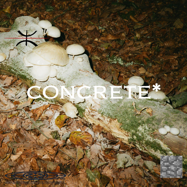 concrete cover