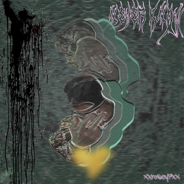 never know cover art
