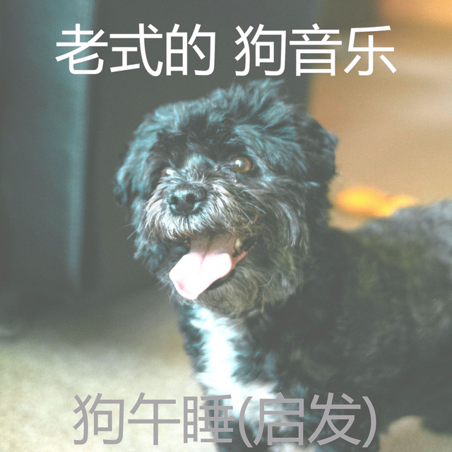 犬式 Photo