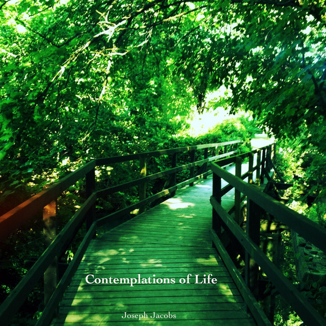 Contemplations of Life cover art