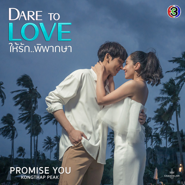 PROMISE YOU (จาก "ละคร Dare To Love ให้รักพิพากษา") cover art