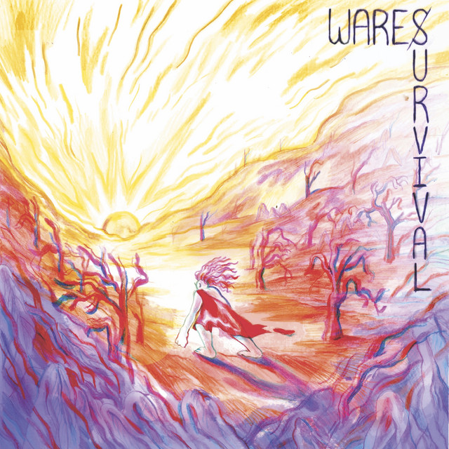 Survival cover