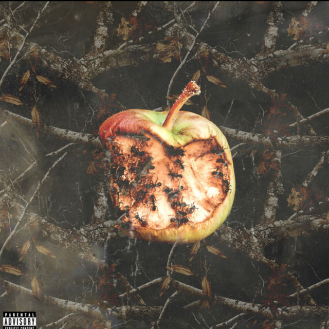 DNA cover