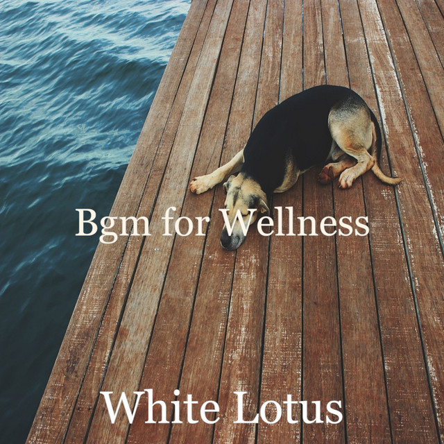 Bgm for Wellness cover art