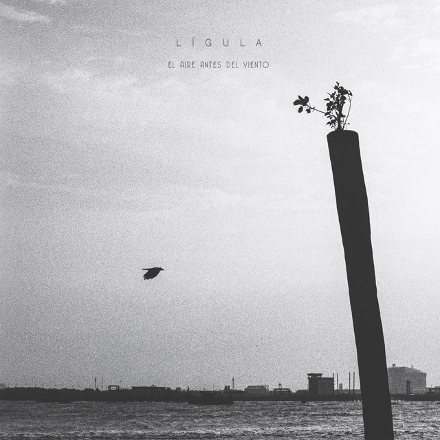 El Aire Antes del Viento cover art