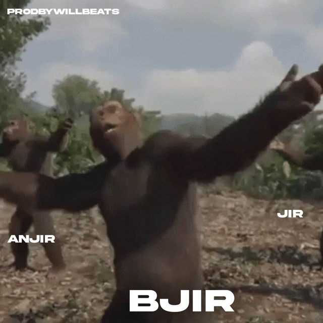 BJIR cover art