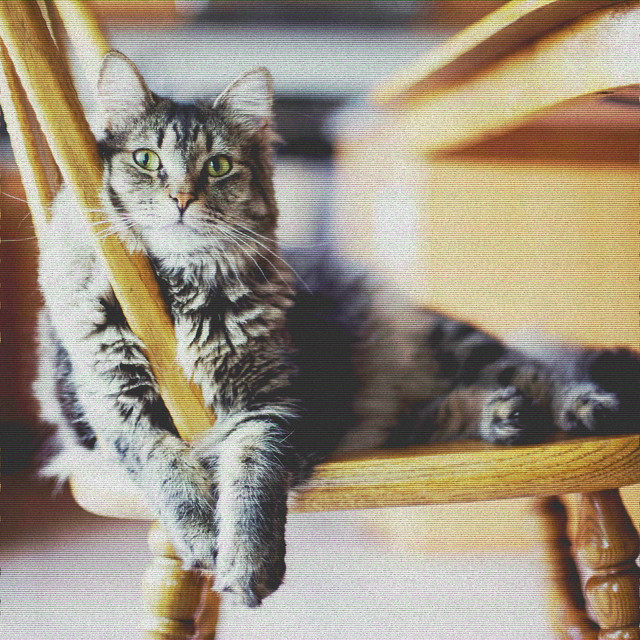 Backdrop for Lazy Cat Days - Trumpet, Soprano Sax, Tenor Sax and Guitar cover art