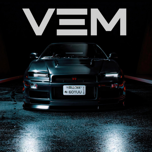 VEM cover art