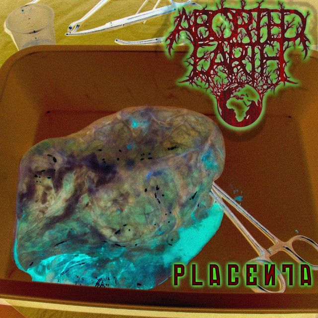 Placenta cover