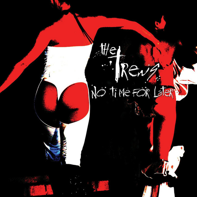 No Time For Later cover art