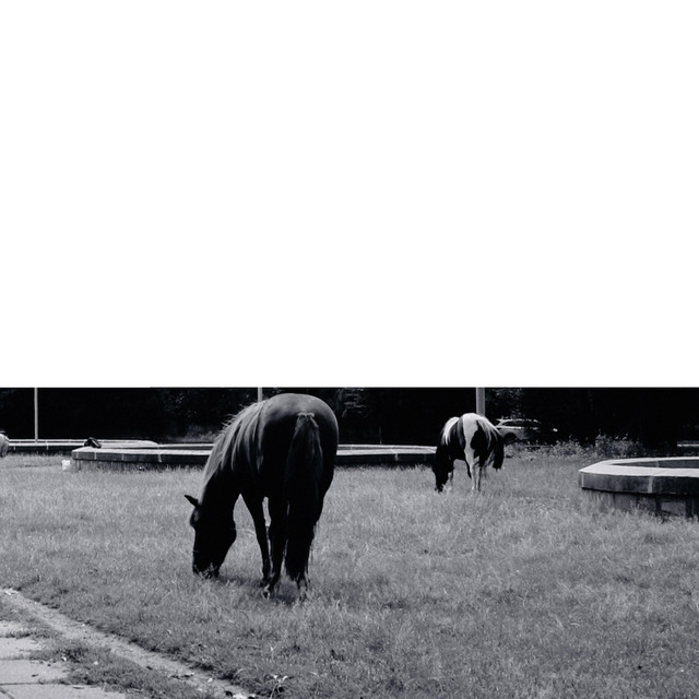 Обкладинка: Sure — Nometronn