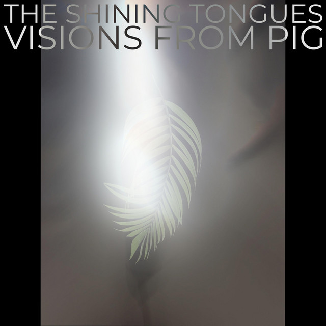 Visions From Pig (single)