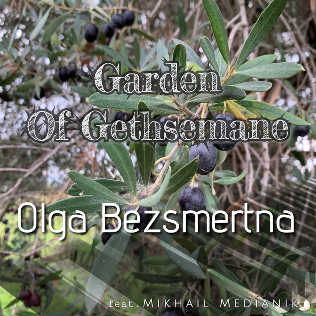 Garden Of Gethsemane