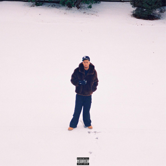 PURPLE BAGS cover art