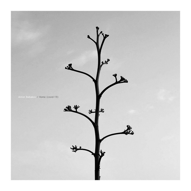Обкладинка: Home (covid-19) — Anton Baibakov