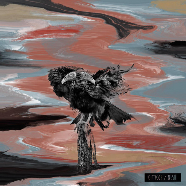 Nesh cover art