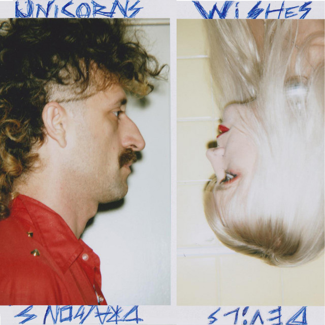 Dragons Unicorns Devils and Wishes cover art