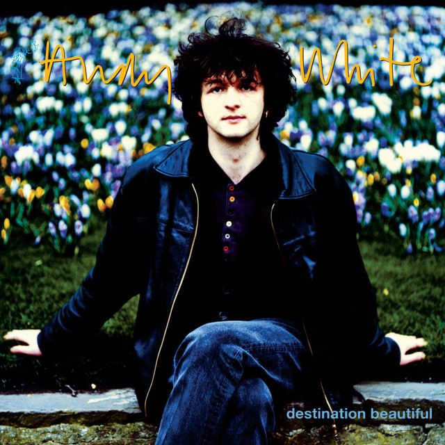 Destination Beautiful cover art