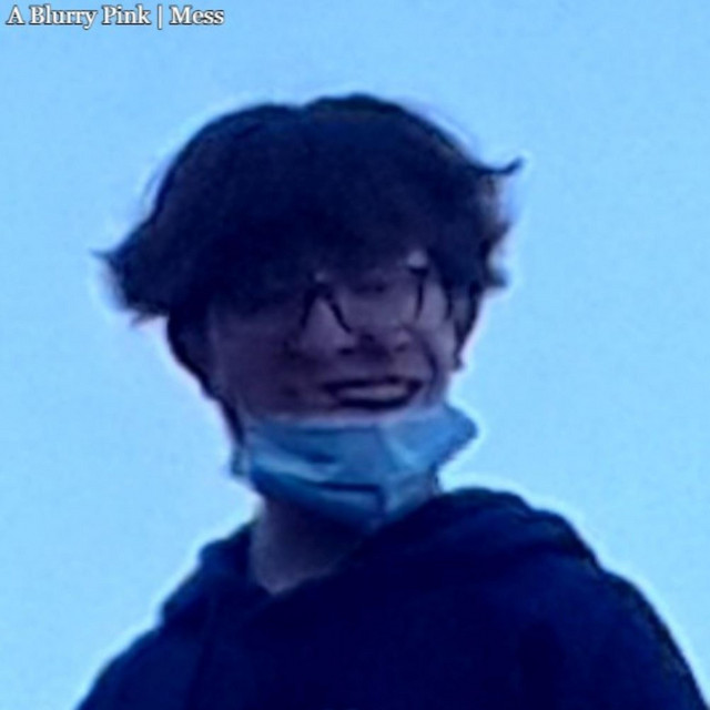 Mess cover art