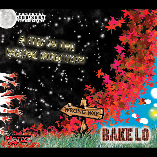 A Step in the Wrong Direction cover art