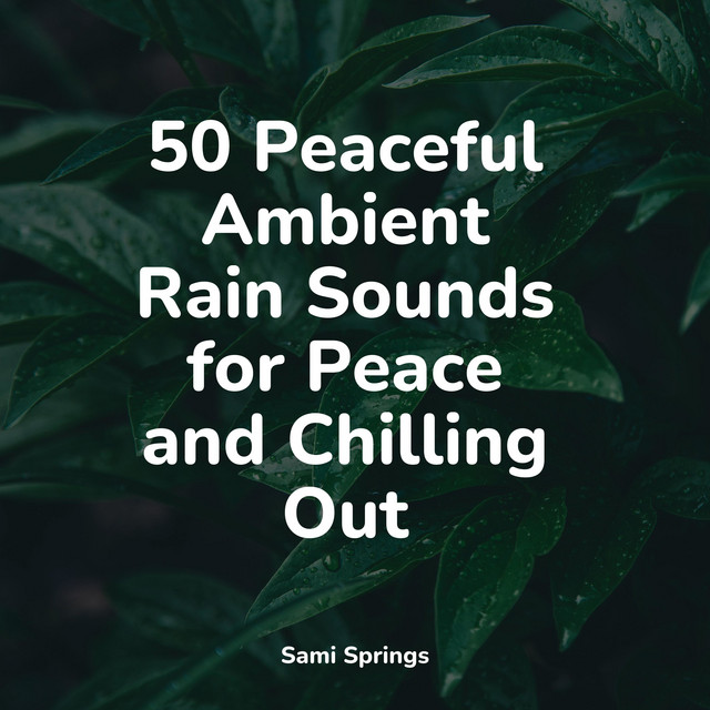 50 Peaceful Ambient Rain Sounds for Peace and Chilling Out - Album by ...