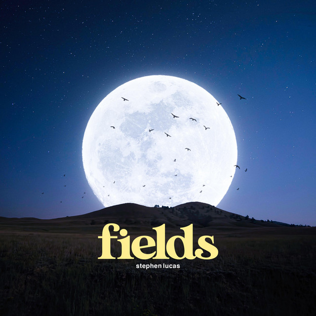 Fields cover art