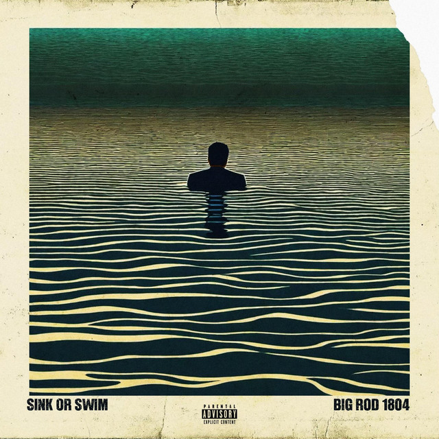 Sink or swim cover art