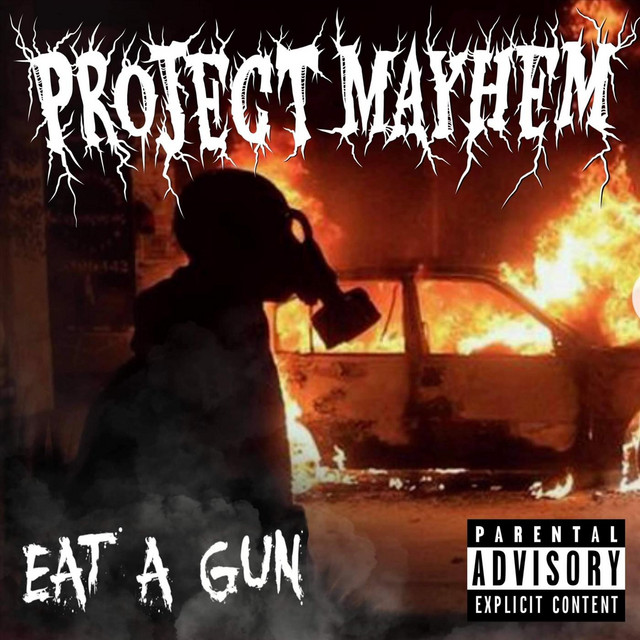 Project Mayhem