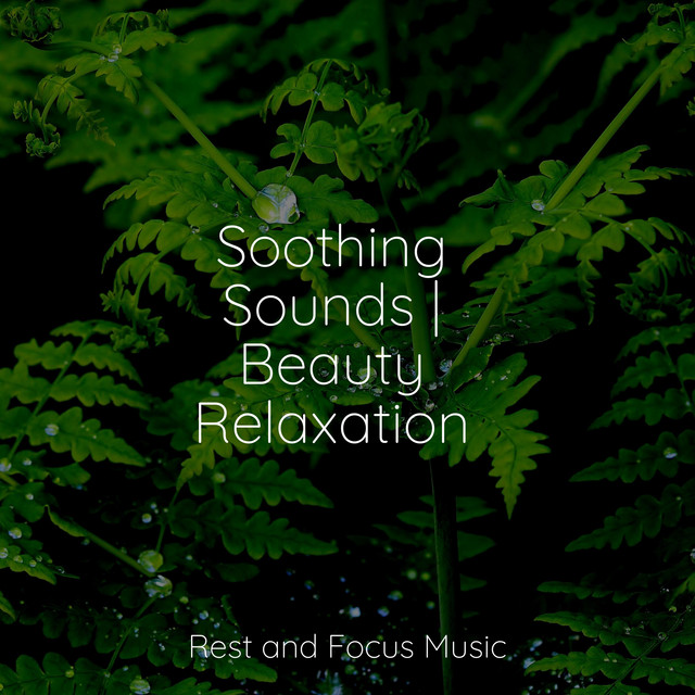 Soothing Sounds | Beauty Relaxation - Album by Pet Care Music Therapy ...