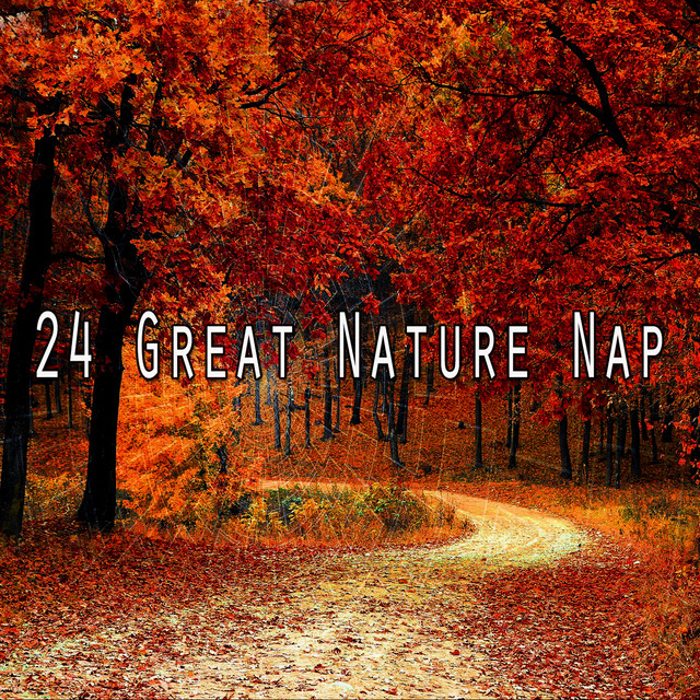 24 Great Nature Nap - Album by Sleep Sounds of Nature | Spotify